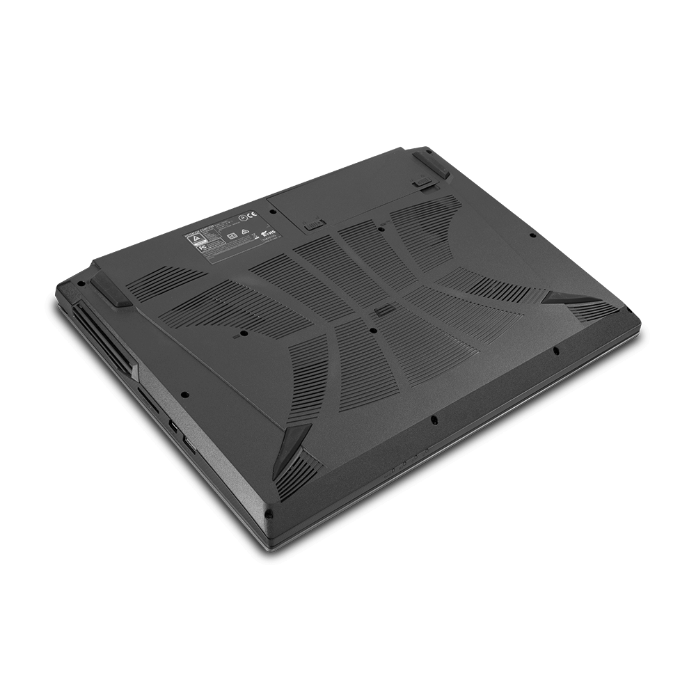 Raptor MX50 Laptop
