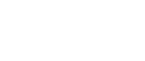 Velocity Micro Logo