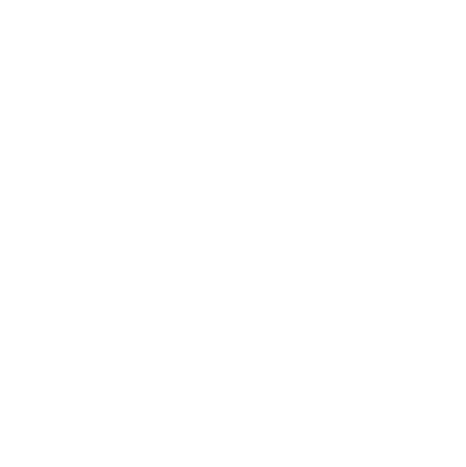 Experienced Mind