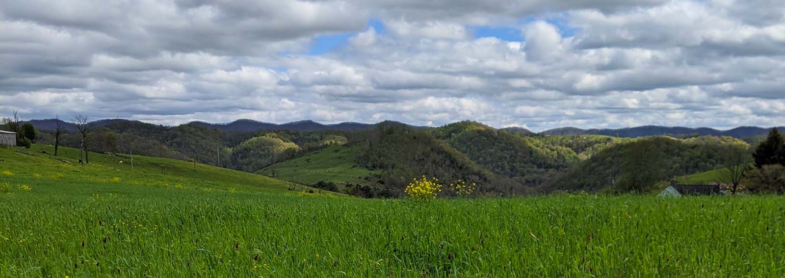 Clinch Valley Soil and Water Conservation District